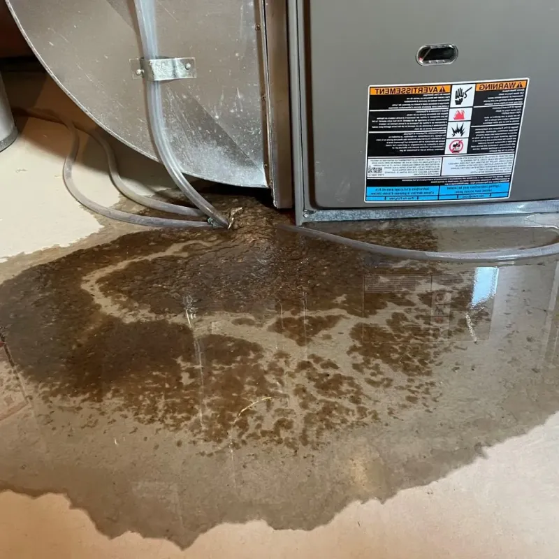 Pipe Burst and Leak Restoration in Ingenio, PR
